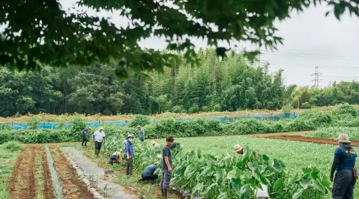 農場実習のイメージ画像