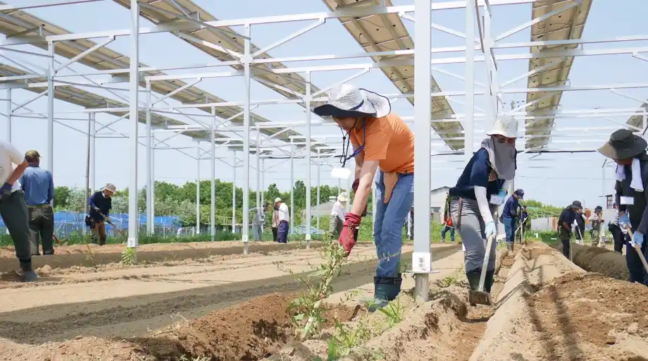 京都農場（京都府・城陽）の写真イメージ