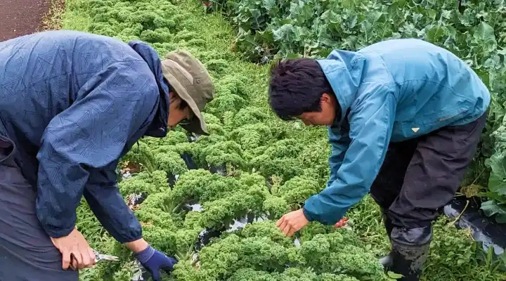 オープンデイのイメージ画像