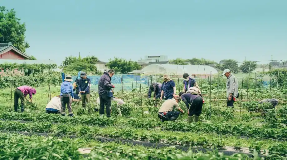 埼玉農場（埼玉県・大宮）の写真イメージ