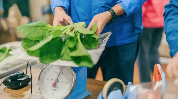 販売実習のイメージ画像