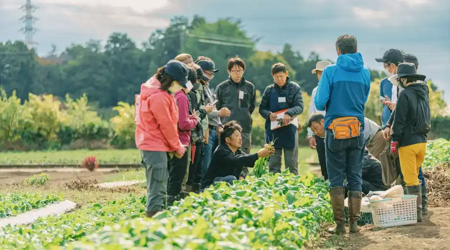 横浜農場（神奈川県・横浜）の写真イメージ
